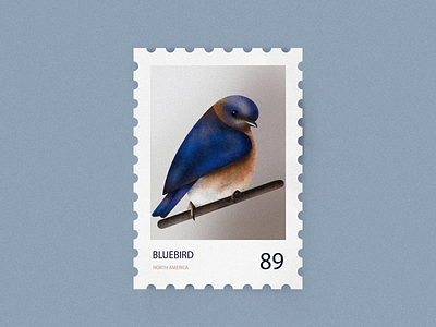 Bluebird 2d 89 bird bluebird design flat graphic icon illustration nature north america pastel colors postcard stamp vector