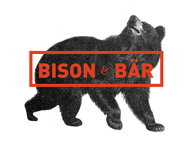 Bison & Bär - scribble bear bison corporate design illustration logo