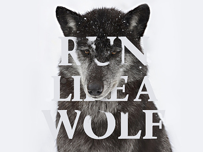 Run like a Wolf animal fading illustration typography wolf