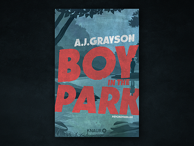 Boy in the Park book cover