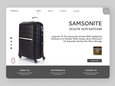 Suit Case Landing Page branding design suitcase ui