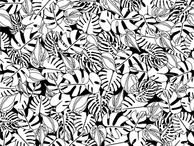 foliage 2 black and white illustration leaf pattern leaves monstera pattern pattern art pattern artist pattern design plants surface pattern