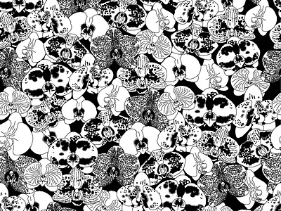 orchid print black and white black and white pattern floral print flower illustration flower pattern illustration orchids pattern pattern art pattern artist pattern design print pattern surface pattern