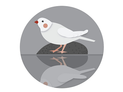 Bird bird graphic icon illustration water