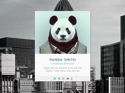 Panda interface network profile social