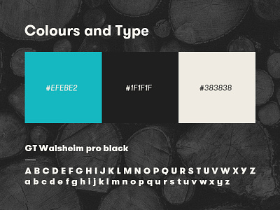 Colour Scheme art direction branding identity web design