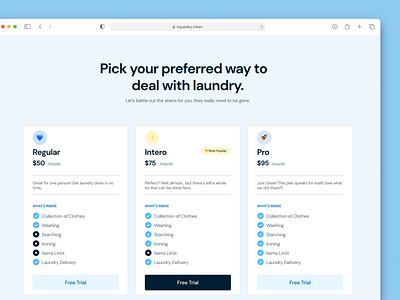 Squeaky Laundry Service — Pricing Page branding clean design inspiration pricing pricing page ui user interface ux web design