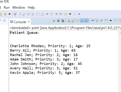 Hospital Patient Queue Program