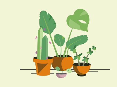 Plant family design flat illustration plant vector