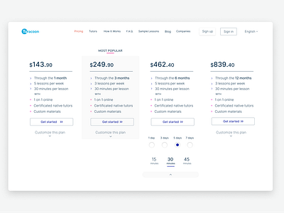 Challenge & Solution - Pricing page- Read the below pls.