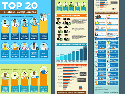 Top 20 highest paying career Infographic data collection design flat graph illustration infographic infographic design statistics vector