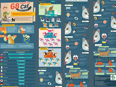 Amazing 68 Cat Stat and fact design flat illustration infographic infographic design statistics vector