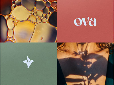 Ova - Logo & Brandmark art direction brand identity branding design graphic design logo