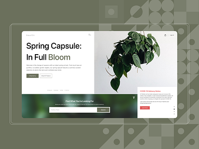 Plant Landing Page UI coronavirus covid19 design desktop ecommerce landingpage minimal plant plants toronto ui uidesign uxdesign