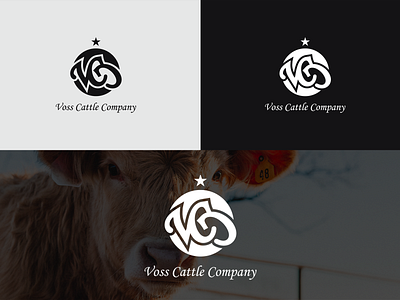 Vcc designs, themes, templates and downloadable graphic elements on Dribbble