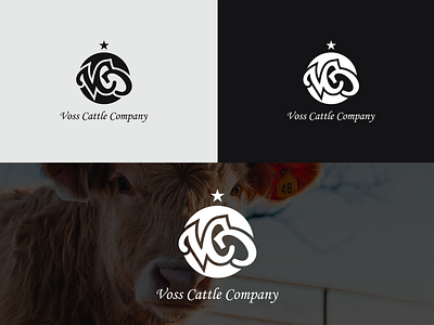 VCC beef brand brand design branding cattle corporate cow cows logo logodesign logos logotype texas v letter v letter logo v logo vcc