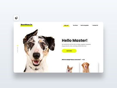 🐶 Dog Adoption Web Design concept design designer ecommerce follow hire infadev like site website