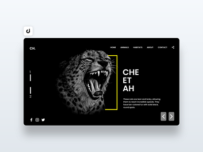 🦁 Cheetah Web Design concept design designer ecommerce follow hire infadev like site website