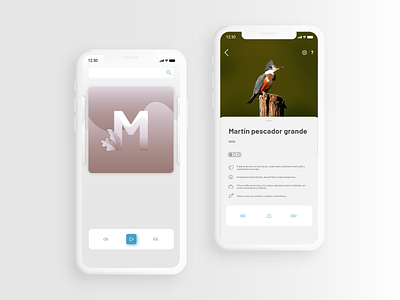 AZ insight app design ios iphonex mobile ui uidesign ux uxdesign xd