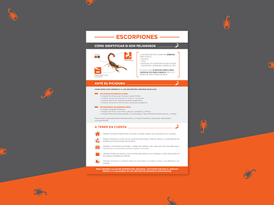 About some scorpions design editorial flat icon information design mailing newsletter vector