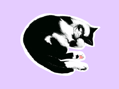 Little cat cat commission cute illustration pets procreate app
