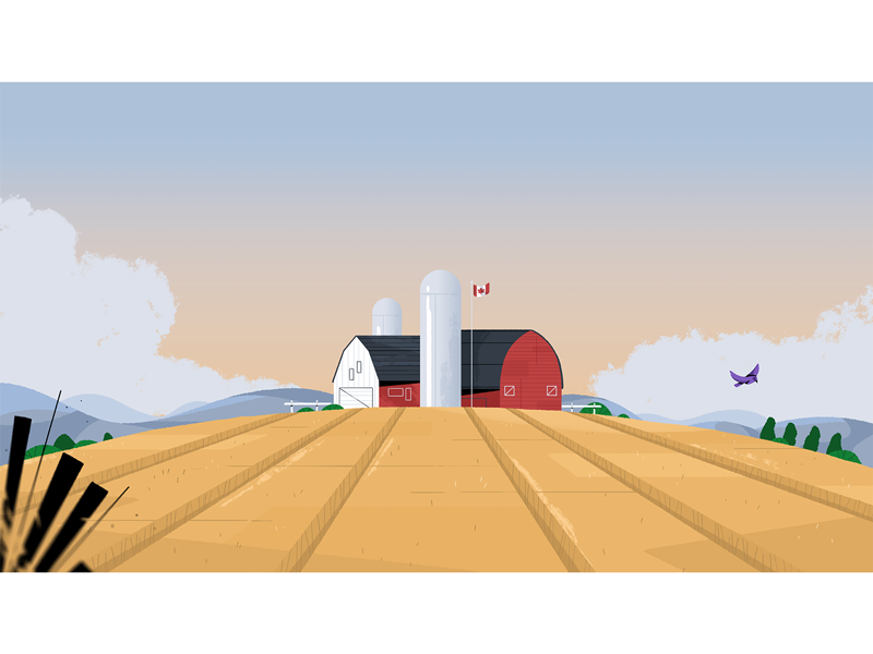 Oh, Canada! landscape farm environment design video styleframe photoshop illustration