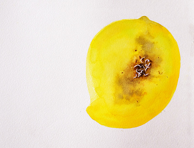 Mango corrupt corruption fruit juicy mango natural paper watercolor white worm yellow