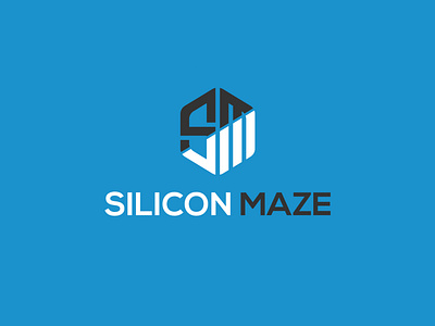 Silicon Maze