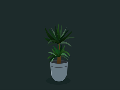 Plant