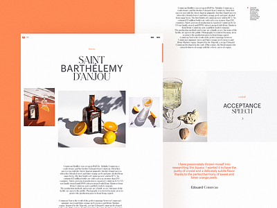 Bartending Encyclopedia Website Design