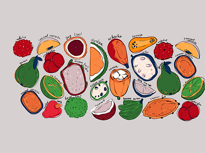 Exotic Fruit App Illustrations