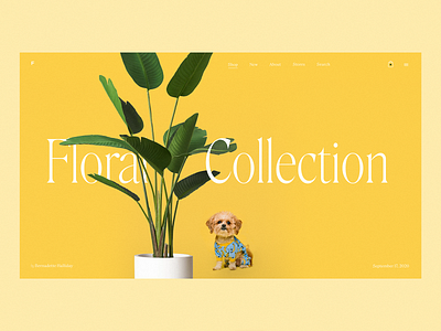 Plant Decor Web Page decor design design studio dog ecommerce floral graphic design interaction interface interior marketing plant ui user experience ux web web design web interface web page website design