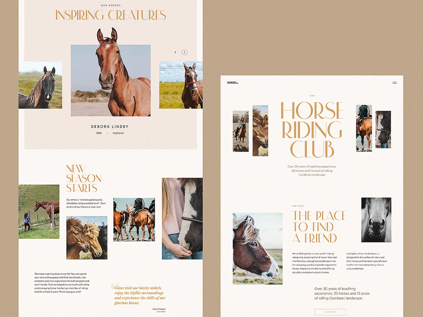 Elegant Hobby Website Design for Horse Riding Clubs