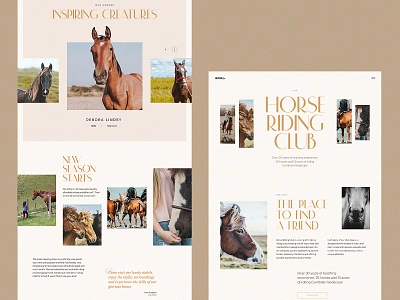 Horse Riding Club Website Design design design studio graphic design hobby horses interaction interface outdoors races riding sports ui user experience ux web web design web marketing web pages website website design