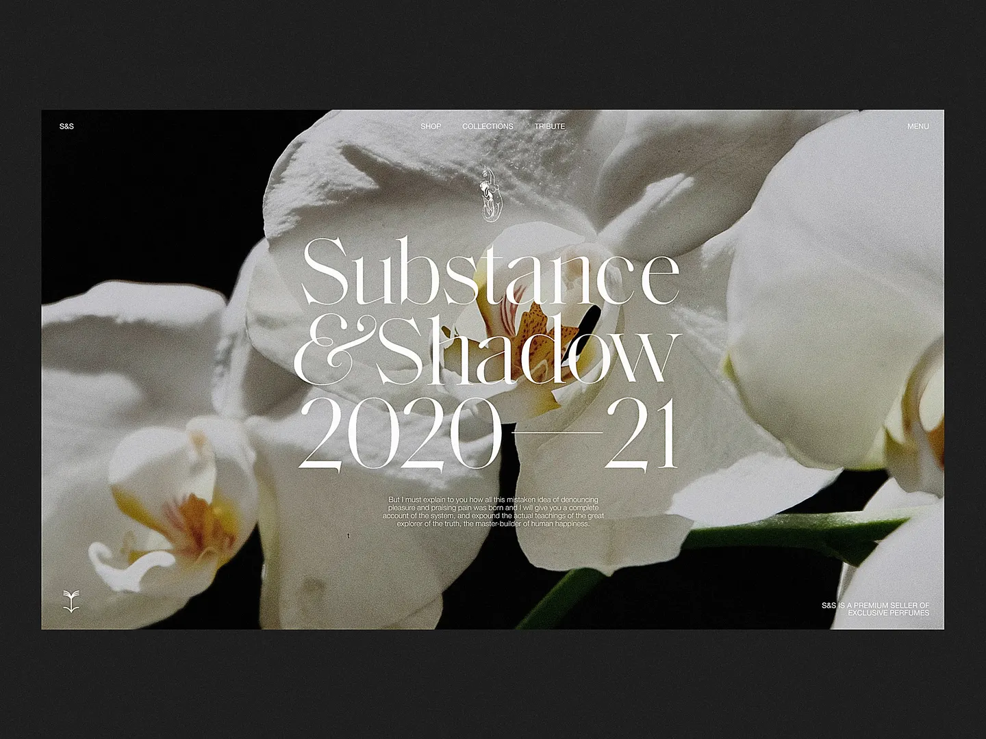 Elegant Perfume Website Design: Substance & Shadow 2020-21