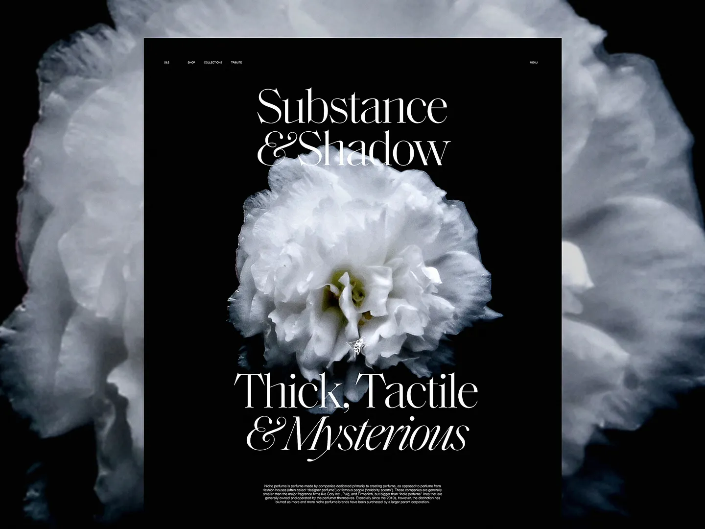 Elegant Perfume Website Design: Substance & Shadow