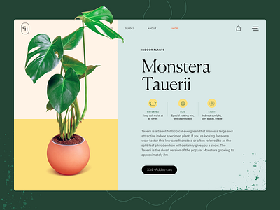 Plant Shop Product Page company website design design studio ecommerce ecommerce design gardening graphic design interaction interface nature plant plant care product page ui user experience ux web web design website website design