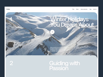 Winter Holidays Booking booking design design studio graphic design interaction interface mountains skiing travel travelers ui user experience ux video web web design webpage website website design winter