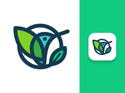 Andre Logo Design adobe bird branding design design studio flat green illustration illustrator logo mascot