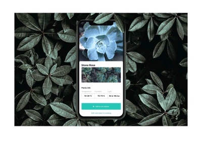 Watering tracker application ui design tubik