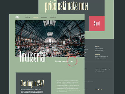 Cleaning Company Website: Service Page design graphic design