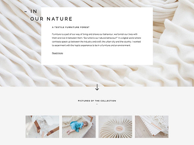 Furniture Designer Website Design Landingpage