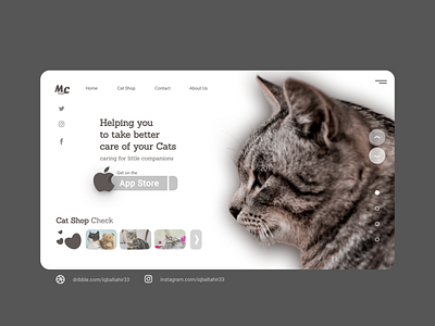 MyCat Design UI for Website animal clean design minimal pet petshop ux web