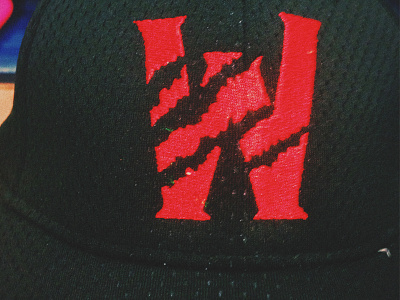 Wolverines Hat ball baseball catch jerse mascot sport team type uniform wolverine