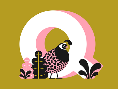 36 days of type - letter Q 36days-adobe 36days-q 36daysoftype art illustration interior letter plants quail type typogaphy vector