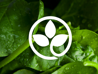 Center for Nutrition Studies Logo brand icon leaves logo
