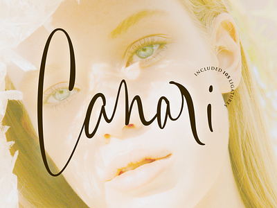 Canari – Modern Calligraphy Fonts branding graphic design handwritten logo typography valentines fonts