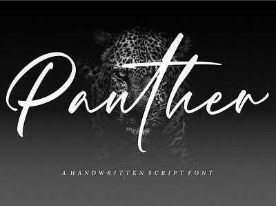 Panther – Handwritten Script Font branding graphic design headline logo