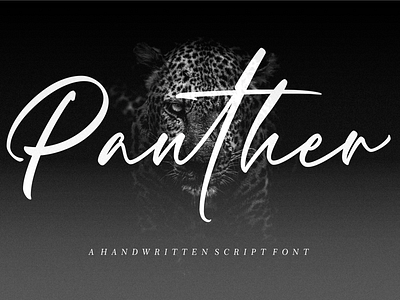 Panther – Handwritten Script Font