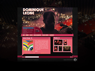 Dominique Music Website 2009 design flash web wordpress